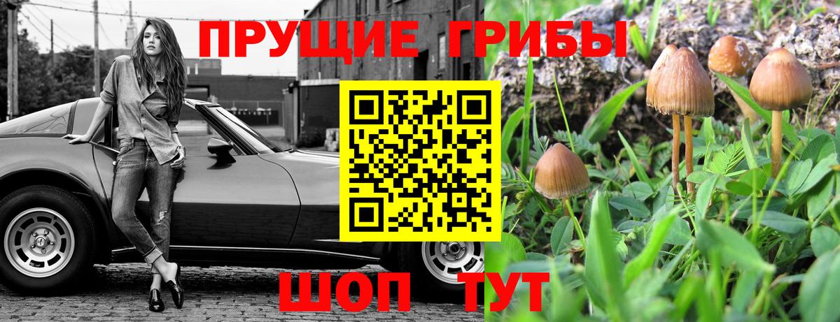 Псилоцибиновые грибы мицелий  Вход с VPN  купить   Кстово 